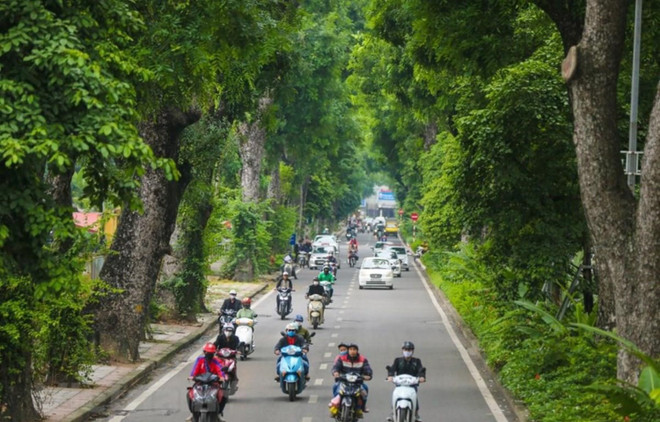 Ảnh minh họa. (Nguồn: TTXVN) Phát triển cây xanh đô thị: Cần có chính sách thu hút các nguồn đầu tư ảnh 1