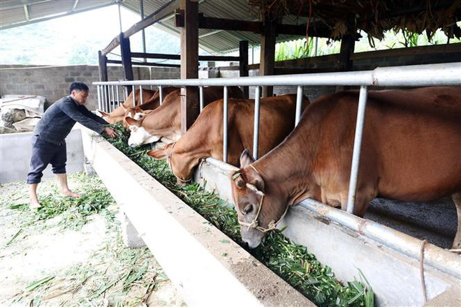 Những chính sách của Chính phủ có hiệu lực từ tháng 3/2021 ảnh 2