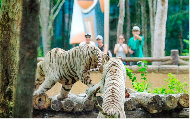 Nghỉ dưỡng 5 sao tại Vinpearl với giá từ 22,6 triệu đồng ảnh 2