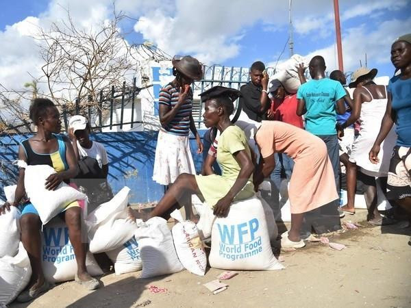 Đảo quốc Haiti và câu chuyện hậu trường của 'can thiệp nhân đạo' ảnh 1