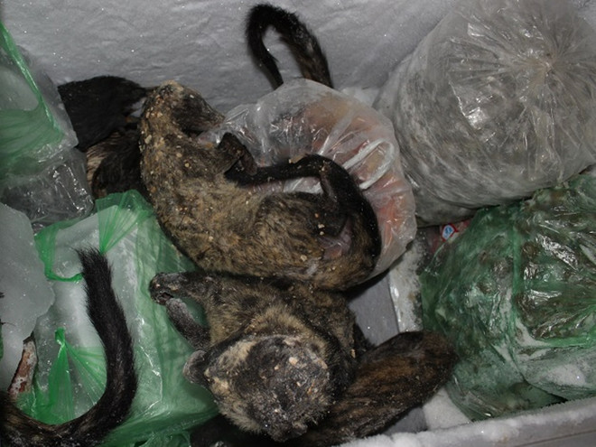 Hà Nội: Phát hiện lò mổ động vật hoang dã giữa lòng thủ đô ảnh 7