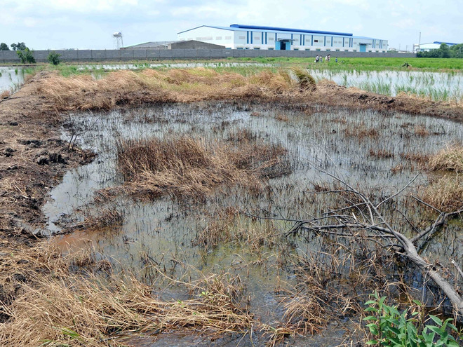 Điểm mặt hàng loạt doanh nghiệp vi phạm về bảo vệ môi trường ảnh 1