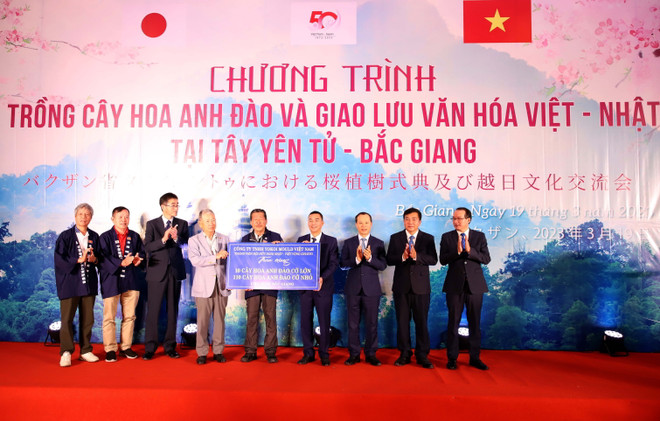 Giao lưu văn hóa gắn kết tình hữu nghị Việt Nam-Nhật Bản ảnh 1