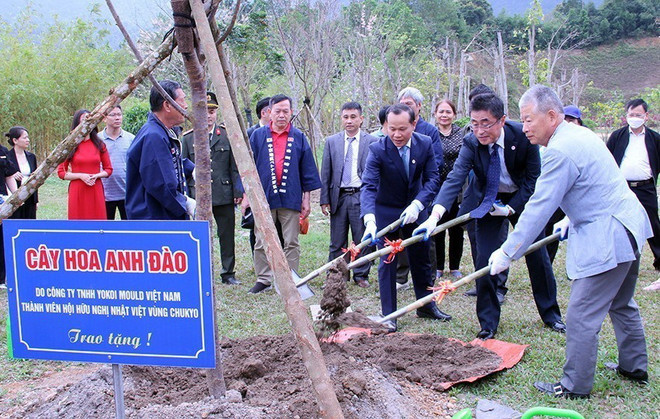 Giao lưu văn hóa gắn kết tình hữu nghị Việt Nam-Nhật Bản ảnh 2