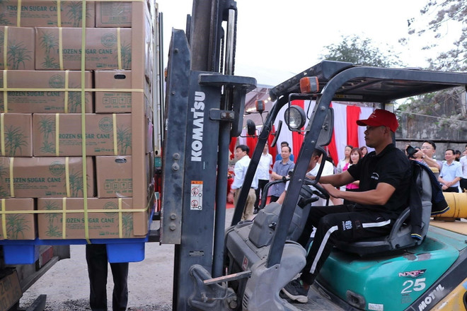 Hòa Bình xuất khẩu lô hàng mía tươi đầu tiên sang Hoa Kỳ ảnh 3