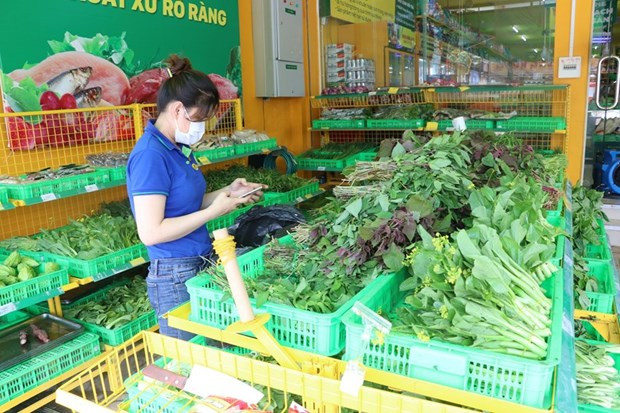 Ảnh minh họa. (Ảnh : Nguyễn Văn Trí/TTXVN) Những con người lặng lẽ trong tâm dịch: Nối mạch an sinh xã hội ảnh 1
