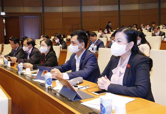 Thông qua Luật Sửa đổi, bổ sung một số điều Bộ luật Tố tụng hình sự ảnh 1