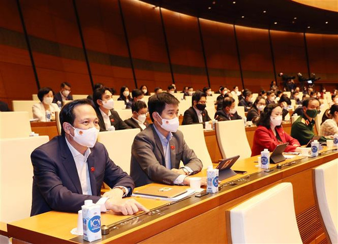 Thông qua Luật Sửa đổi, bổ sung một số điều của Luật Thống kê ảnh 1