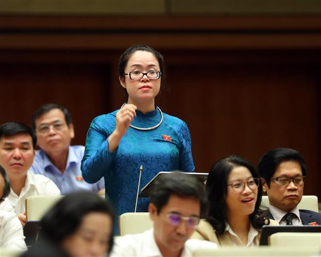 Xây dựng cơ sở dữ liệu về tài sản công để quản lý hiệu quả hơn ảnh 2