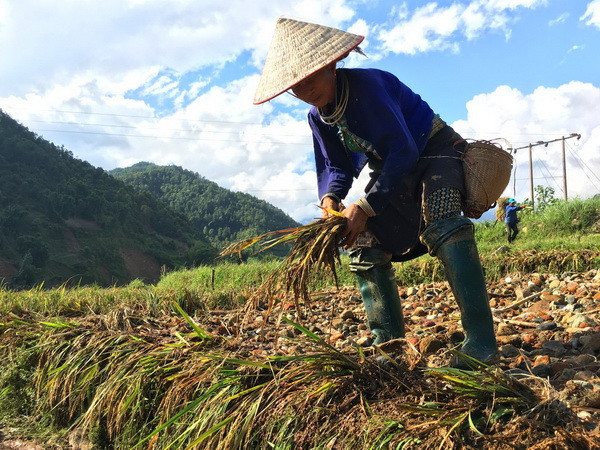 Yên Bái tích cực tìm kiếm 11 người mất tích do mưa lũ ảnh 3