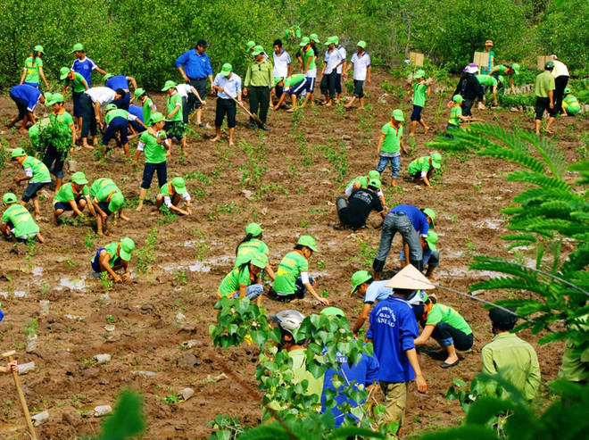 Việt Nam xây dựng Kế hoạch thực hiện Thỏa thuận Paris về khí hậu ảnh 1