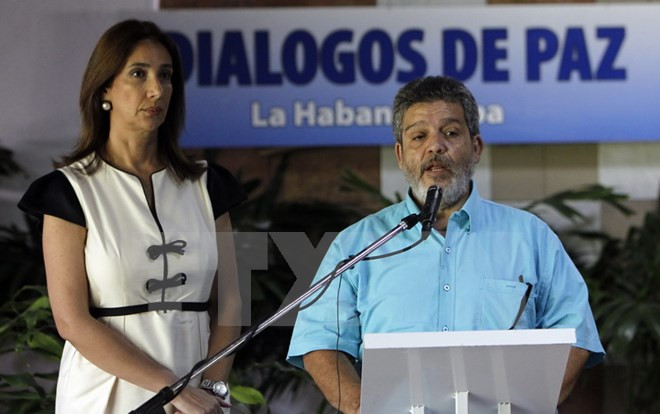 Colombia: 50% người dân phản đối thỏa thuận hòa bình với FARC ảnh 1