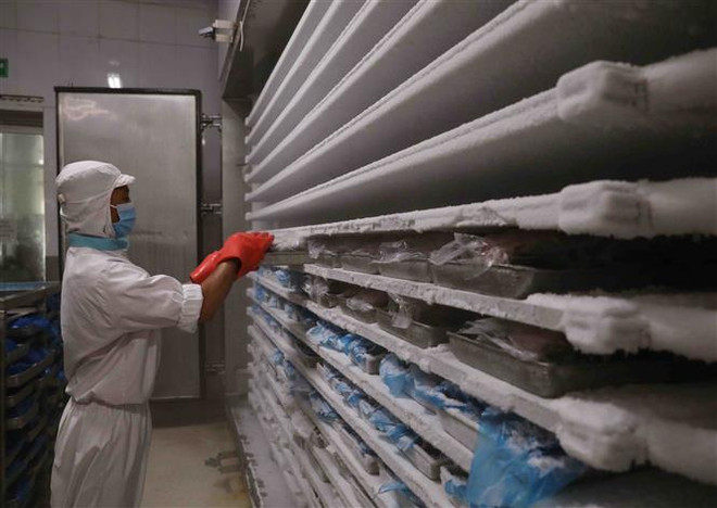 Thị trường kho vận lạnh Việt Nam dự kiến đạt 295 triệu USD vào 2025 ảnh 1