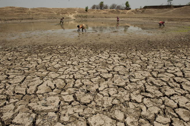 Nhiệt độ trong nửa đầu năm 2016 nóng nhất trong hơn 1 thế kỷ qua ảnh 1