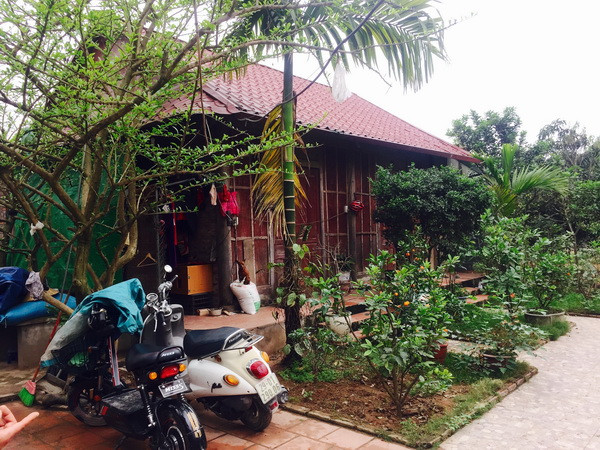 Đường dây nóng phản ánh vi phạm đất đai phát huy hiệu quả ảnh 1