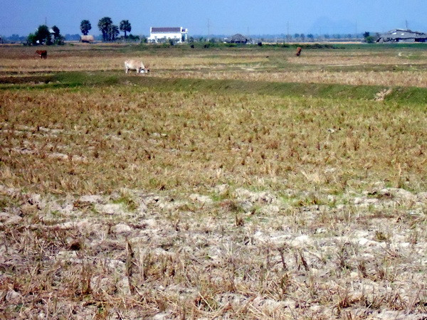 Thành lập Nhóm các nước dễ bị tổn thương trước biến đổi khí hậu ảnh 1