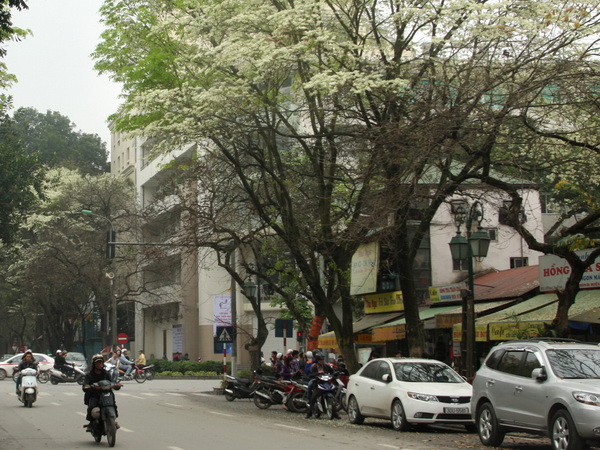 Bắc Bộ rét trong đêm 26/3, nhiệt độ thấp nhất từ 14-17 độ C ảnh 1