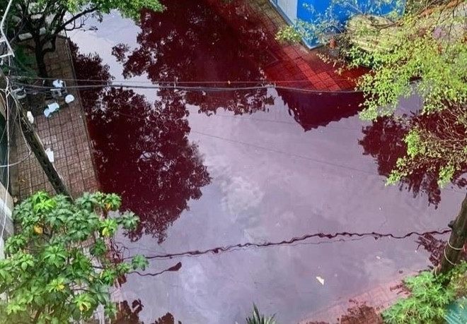 Chưa xác định được nguồn nước đỏ xuất hiện sau cơn mưa tại TP.HCM ảnh 1