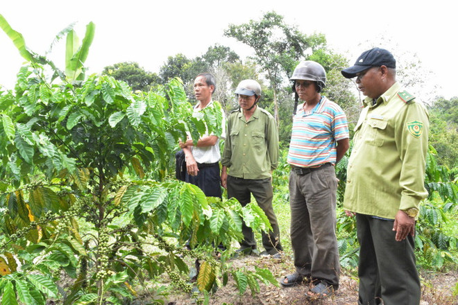 Chính quyền 'bó tay' nhìn rừng phòng hộ bị lấn chiếm 22 năm ảnh 3