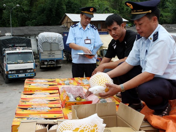 Tổng cục Thống kê nói gì về con số 20 tỷ USD xuất siêu từ Trung Quốc? ảnh 1