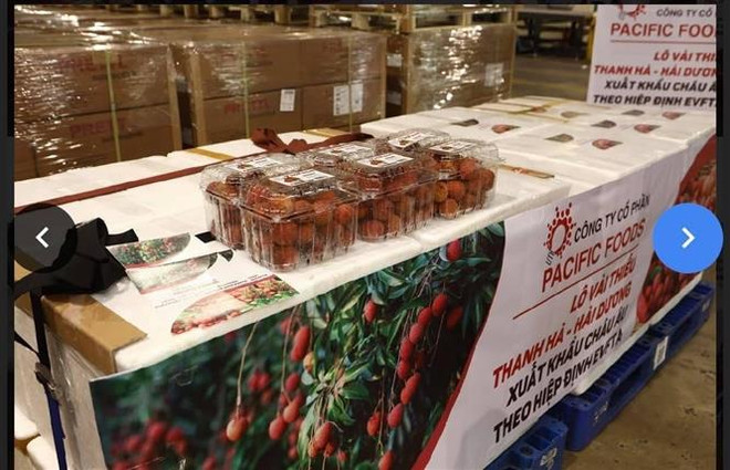 Vải thiều thu mua tại vùng trồng xuất khẩu cao hơn thị trường 20-25% ảnh 1