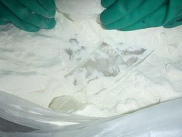 Bắt một hành khách Philippines vận chuyển 3,6kg cocaine ảnh 1