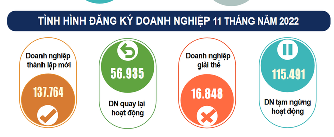 Cả nước có gần 12.000 doanh nghiệp thành lập mới trong tháng 11 ảnh 2