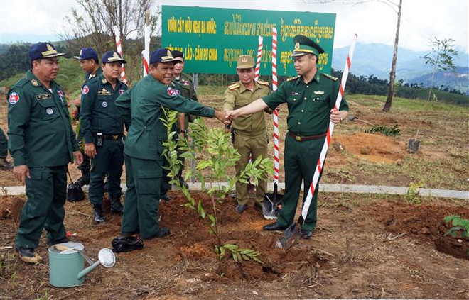 Trồng vườn cây hữu nghị tại ngã ba biên giới Việt-Lào-Campuchia ảnh 1