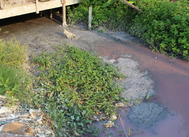 Bắc Ninh: Gian nan xử phạt cơ sở sản xuất giấy "bức tử" môi trường ảnh 2