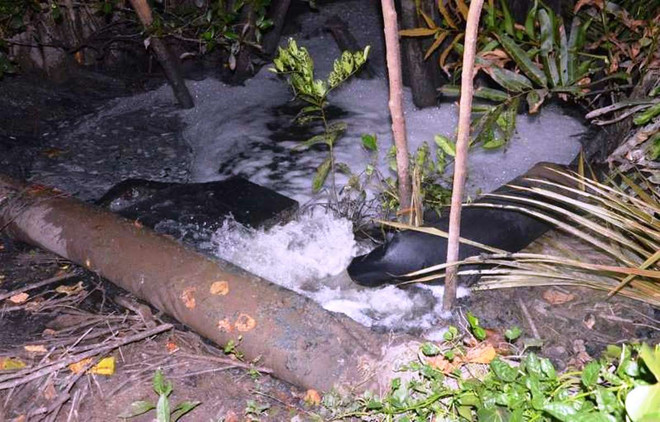 Bộ TN-MT: Cần huy động tư nhân đầu tư nhà máy xử lý nước thải ảnh 1