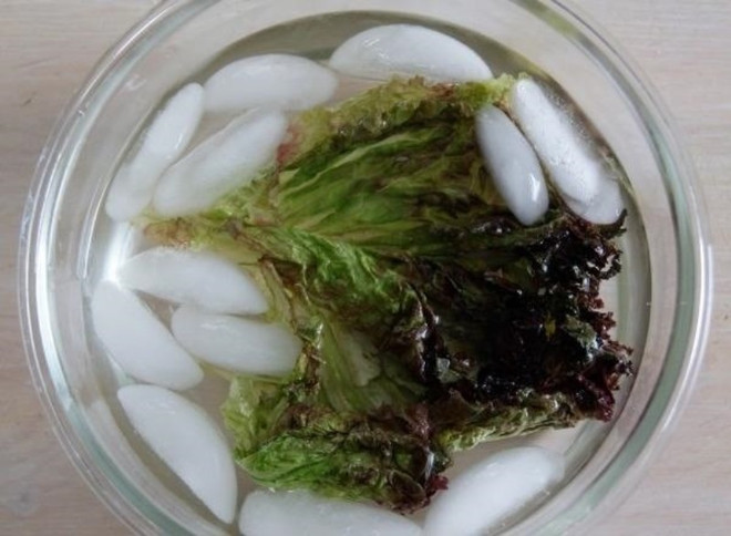 make-soggy-wilted-lettuce-other-leafy-greens-edible-again.w1456 (4).jpg