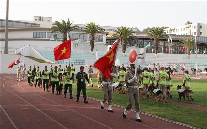 Army Games 2021: Bế mạc cuộc thi “Người bạn trung thành” tại Algeria ảnh 1