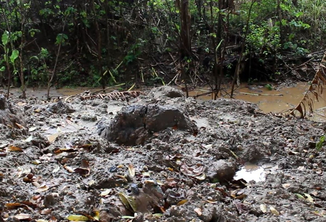 Thanh tra giao thông Đông Anh cam kết chặn nạn xe nghi chở bùn độc ảnh 1