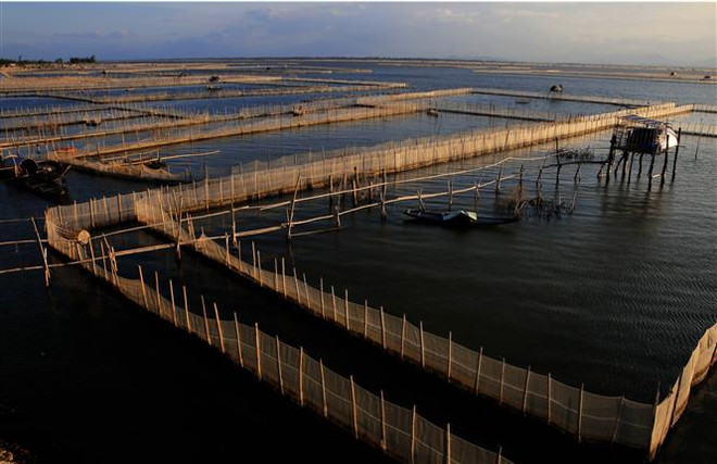 Bắc Giang mở rộng diện tích nuôi thủy sản an toàn sinh học ảnh 1