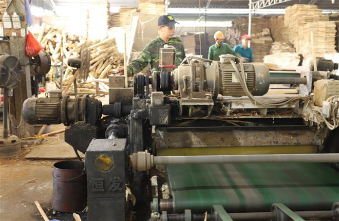 Việt Nam nắm bắt cơ hội để chủ động kiến tạo tương lai ảnh 1