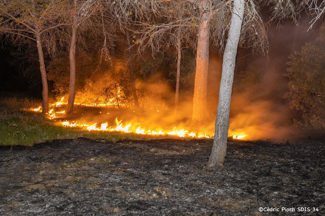 Cháy rừng thiêu rụi hàng trăm ha đất ở miền Đông Nam nước Pháp ảnh 1