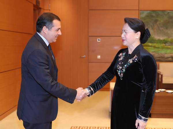 Chủ tịch Quốc hội Nguyễn Thị Kim Ngân tiếp Chủ tịch Thượng viện Mexico ảnh 1