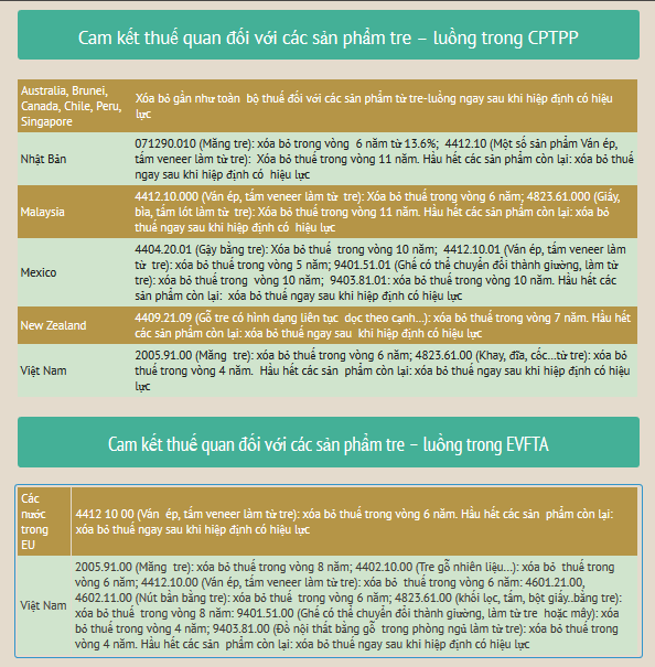 Ngành tre Việt: Hàng rào thuế chưa kịp gỡ, khung kỹ thuật đã dựng lên ảnh 2