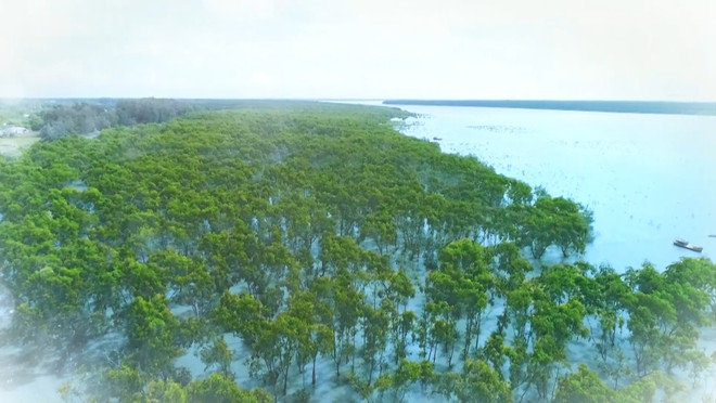 SK Innovation trồng 180 ngàn cây giống tại Việt Nam trong năm 2020 ảnh 1