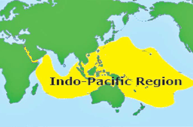 Bản giao hưởng của các nền dân chủ ở Ấn Độ Dương-Thái Bình Dương ảnh 1