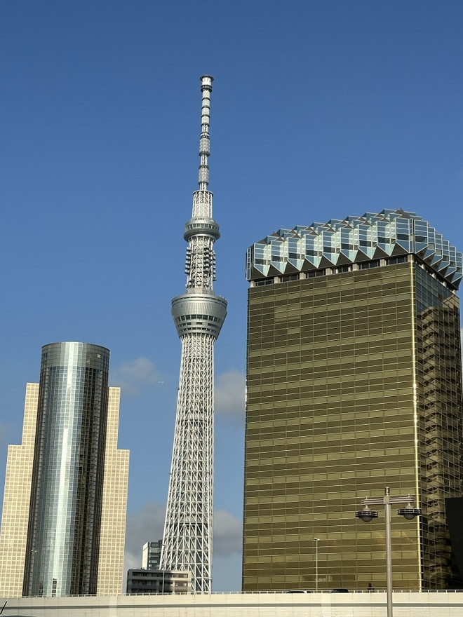 Bảo tồn di sản văn hóa ở Tokyo: Hài hòa với phát triển đô thị hiện đại ảnh 4