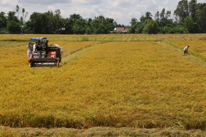 Hậu Giang xác định tập trung phát triển nông nghiệp toàn diện ảnh 1