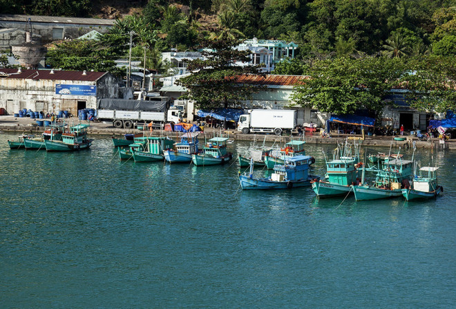Kiên Giang: Thành phố Phú Quốc tập trung cao điểm phòng, chống IUU ảnh 2