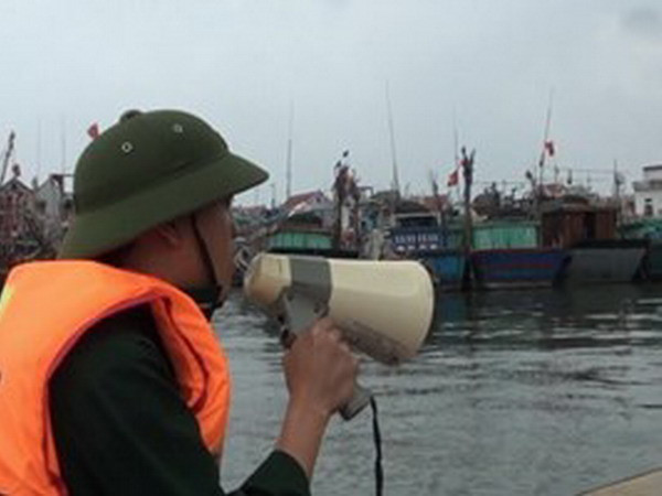 Các địa phương chủ động ứng phó áp thấp nhiệt đới ảnh 1