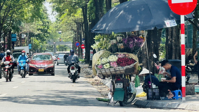Nắng nóng, nhiều người bán hàng rong tìm đến những nơi có gốc cây to trên phố Nguyễn Thị Thập (quận Thanh Xuân, Hà Nội) để bán hàng. (Ảnh: Minh Nghĩa/TTXVN) Hà Nội: Người lao động vất vả mưu sinh giữa trời nắng nóng ảnh 1
