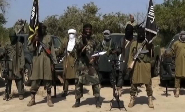 Nigeria đẩy lùi phiến quân Boko Haram ra khỏi bang Adamawa ảnh 1