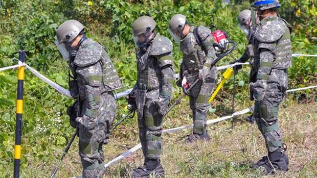 Hàn Quốc bắt đầu đơn phương khai quật hài cốt binh sỹ tại DMZ ảnh 1