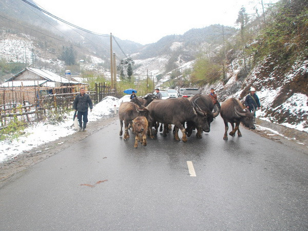 Bắc Bộ rét đậm, nhiệt độ tại Hà Nội xuống đến 14 độ C ảnh 1