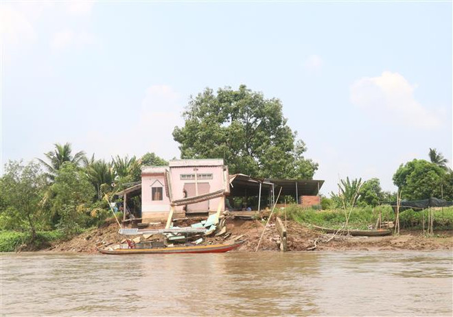 Vĩnh Long: Cồn Thanh Long liên tục sạt lở, đe dọa cuộc sống người dân ảnh 3