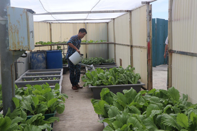 Sức Xuân nơi đầu sóng: Ươm những 'mầm xanh' trên đảo ảnh 1